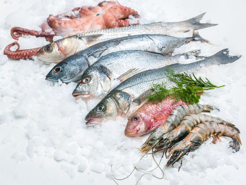 Pescados y Mariscos NyMSeafood