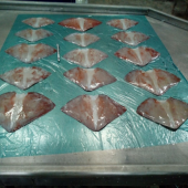 Squid fin Docidicus gigas (Whole, cut Valencia, with and without cartilage) - Fin