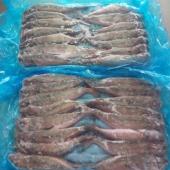 Hake Merluccius Gayi (Whole, HG, HGT, Fillet) - Hake HG