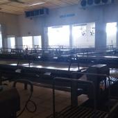 Scallop desvalve room - Scallop process tables