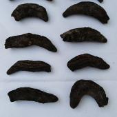 Dried sea cucumber Patallus Mollis - Dried cucumber