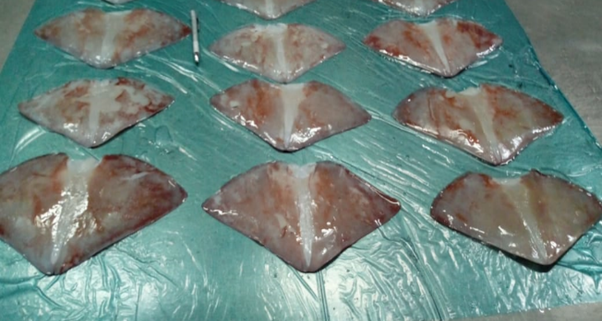 Squid fin Docidicus gigas (Whole, cut Valencia, with and without cartilage) - Fin