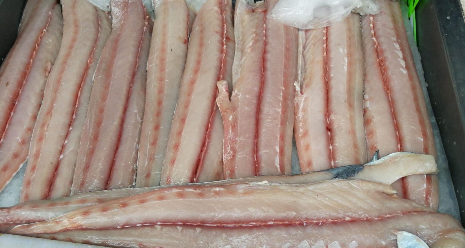 Mahi Mahi Coryphaena Hippurs (Whole, HG, HGT, skinless fillet, skin fillet, slices and portions) - Whole Mahi Mahi