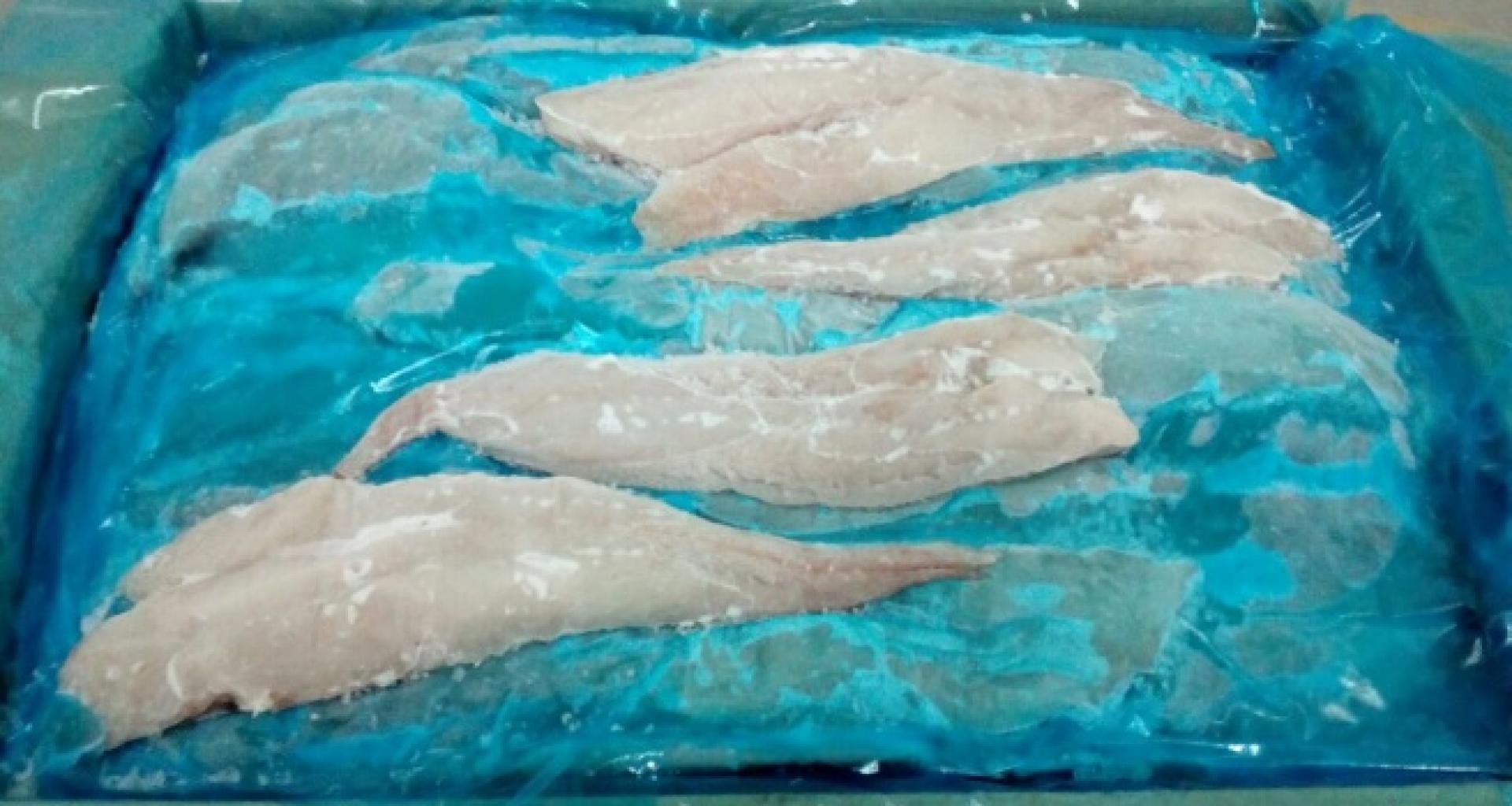 Hake Merluccius Gayi (Whole, HG, HGT, Fillet) - Hake fillet