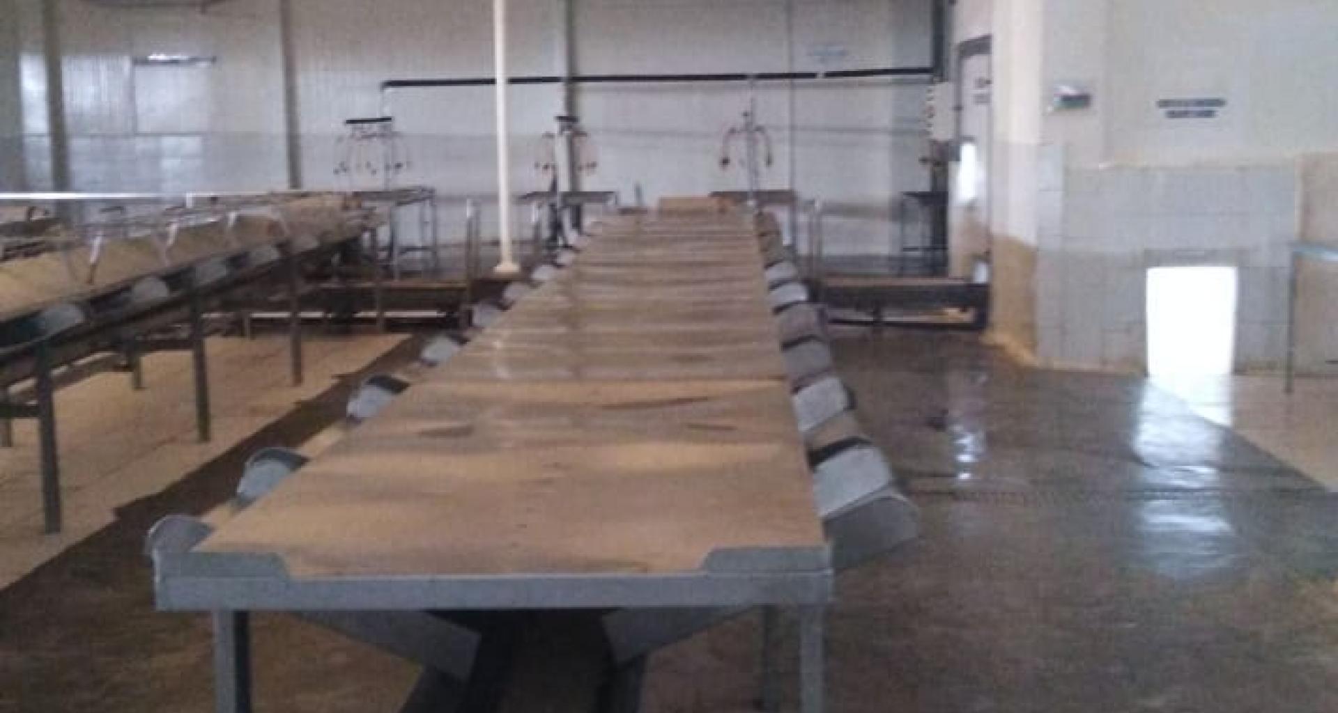 Scallop desvalve room - Scallop process table