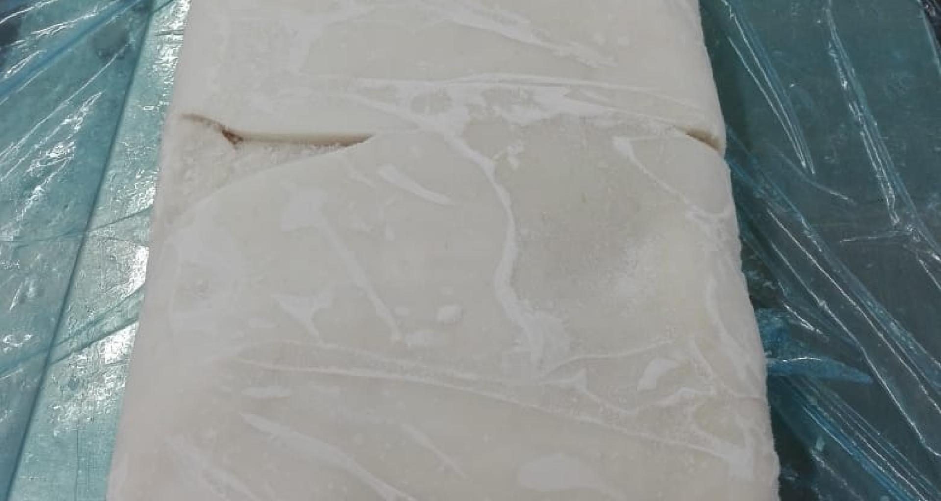 Giant squid mantle - origin Perú